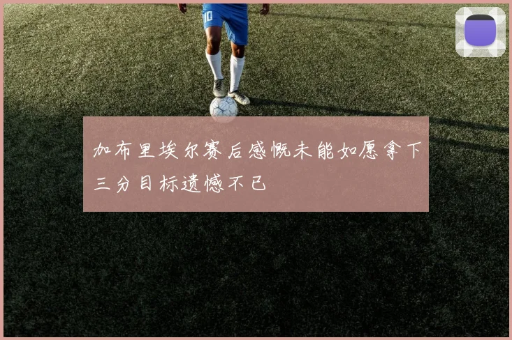 加布里埃尔赛后感慨未能如愿拿下三分目标遗憾不已