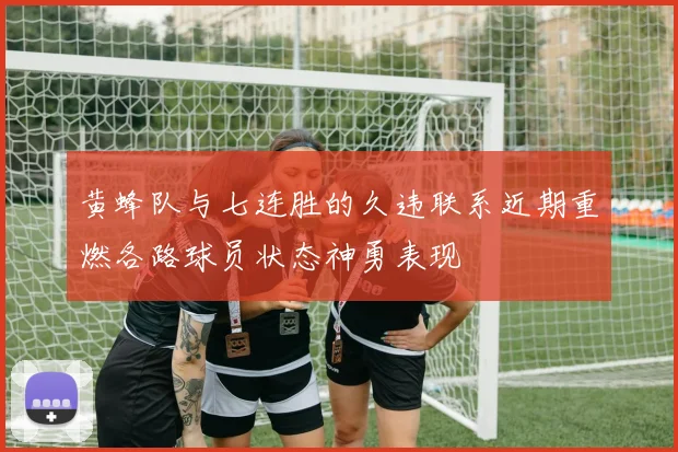 黄蜂队与七连胜的久违联系近期重燃各路球员状态神勇表现