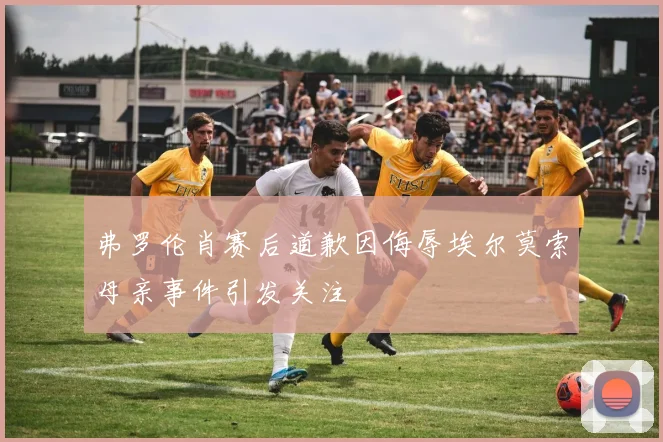 弗罗伦肖赛后道歉因侮辱埃尔莫索母亲事件引发关注