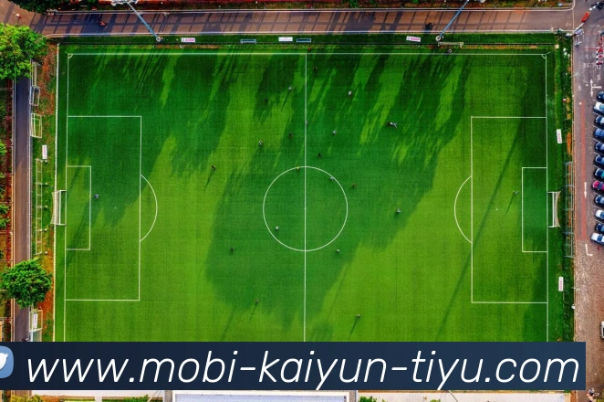 多媒体互动体验