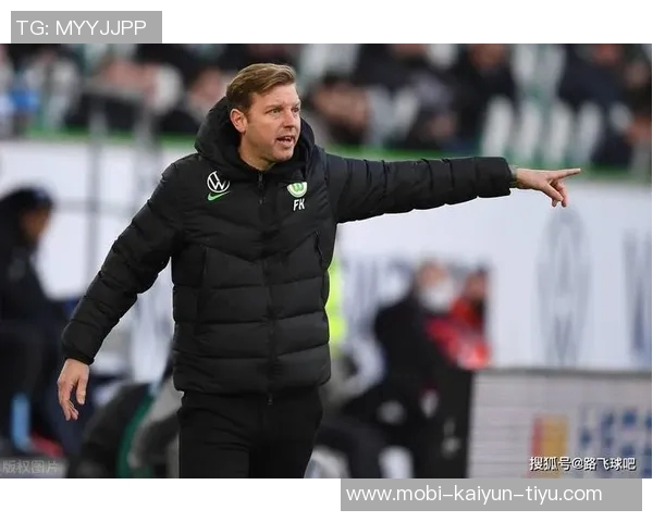 德甲前瞻：狼堡主场难敌霍芬海姆汉堡客场力争全身而退